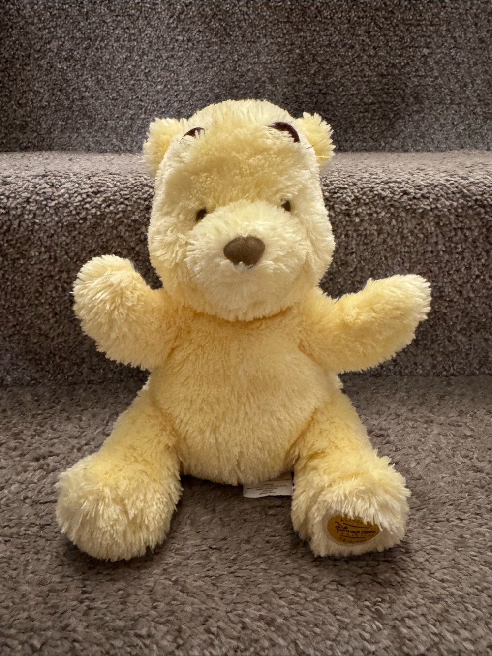 Disney Store Exclusive Yellow Winnie Pooh Bear Plush Easter puppet About 10-12"